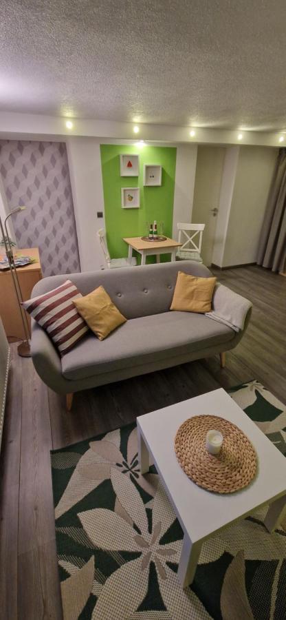 Ferienwohnung Bergblick زبنيتس المظهر الخارجي الصورة